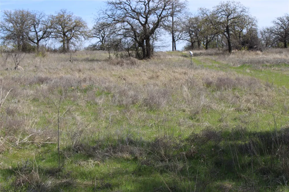 21 Erwin Perrin, TX 78486