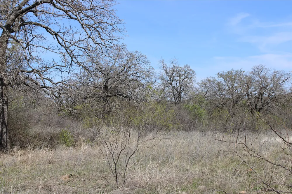 21 Erwin Perrin, TX 78486