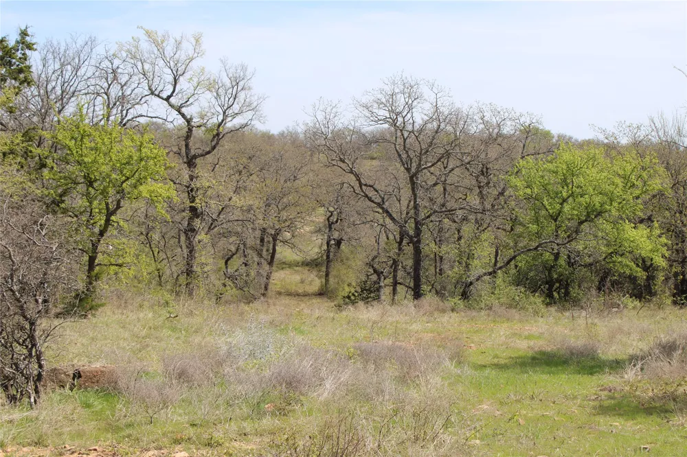 21 Erwin Perrin, TX 78486