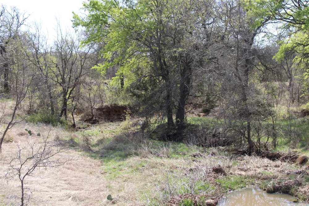21 Erwin Perrin, TX 78486