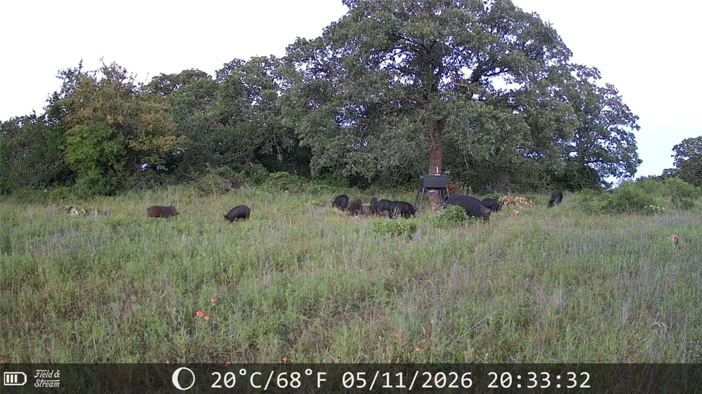 21 Erwin Perrin, TX 78486