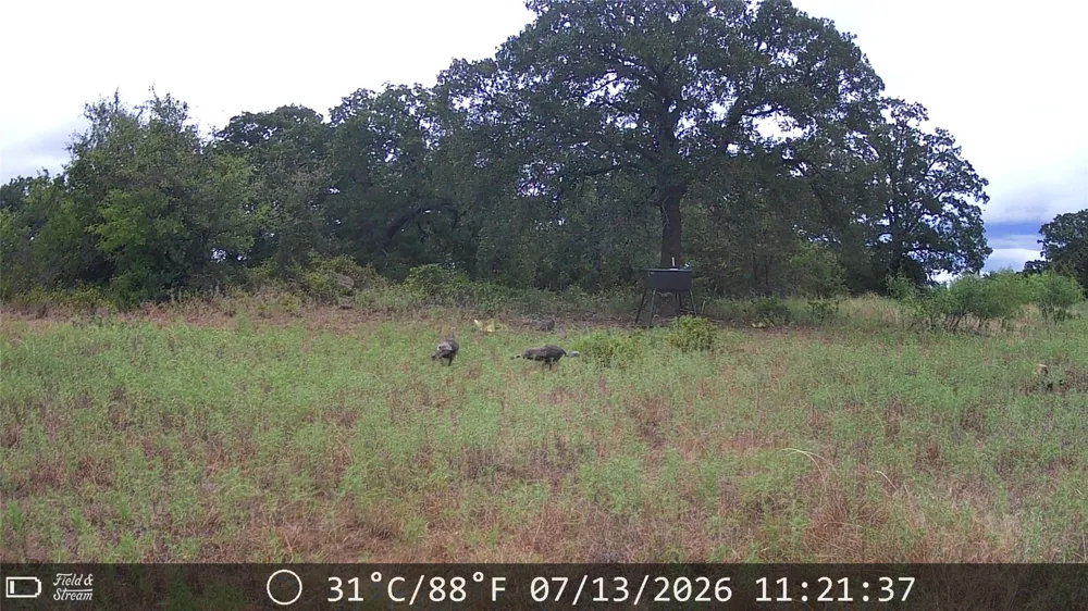 21 Erwin Perrin, TX 78486
