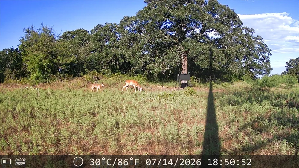 21 Erwin Perrin, TX 78486