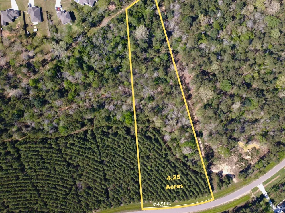 15761 Ridge Rock Road Willis, TX 77378