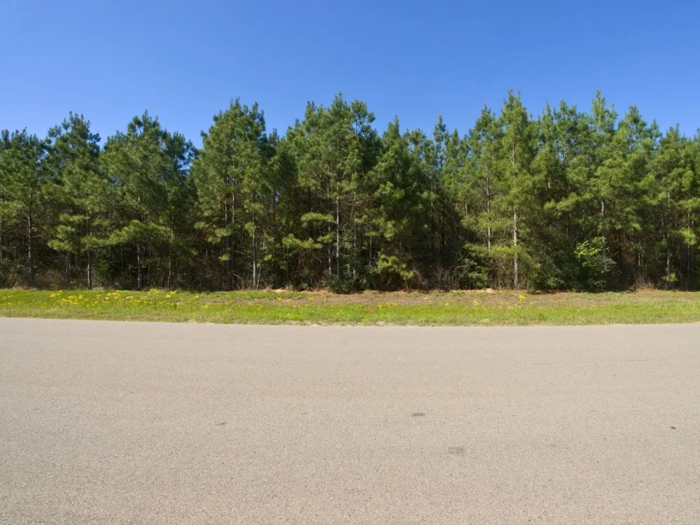 15761 Ridge Rock Road Willis, TX 77378