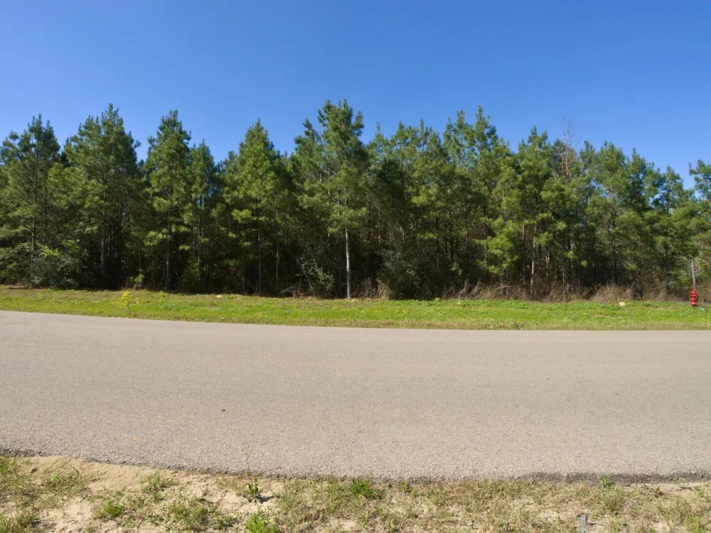 15761 Ridge Rock Road Willis, TX 77378