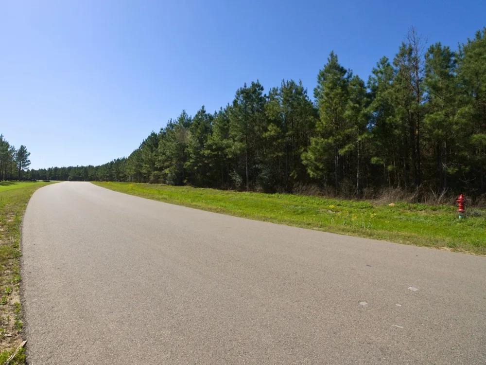 15761 Ridge Rock Road Willis, TX 77378