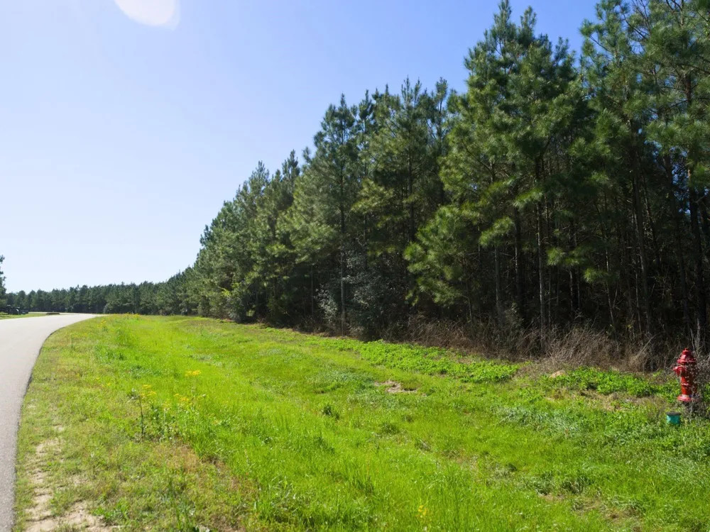 15761 Ridge Rock Road Willis, TX 77378