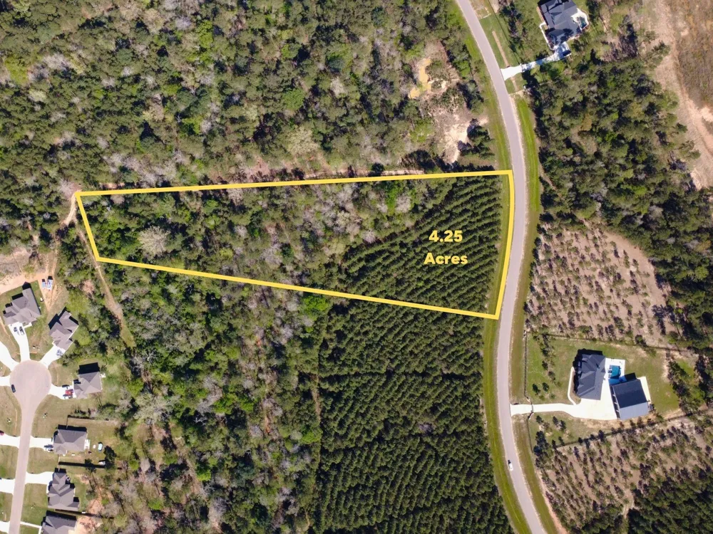 15761 Ridge Rock Road Willis, TX 77378