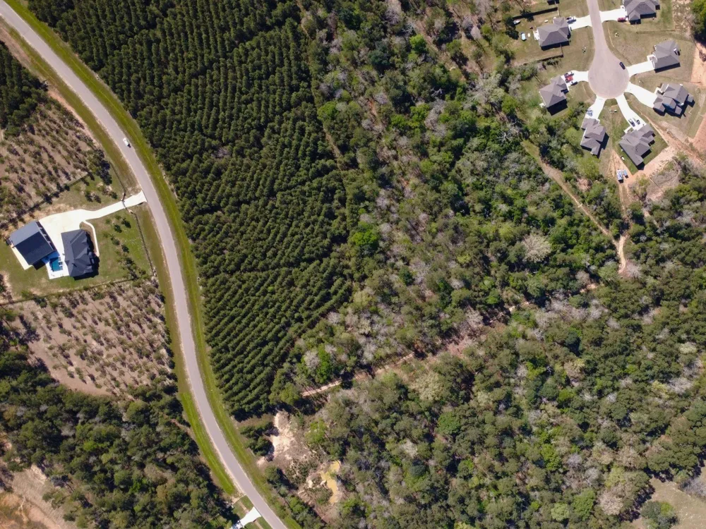 15761 Ridge Rock Road Willis, TX 77378