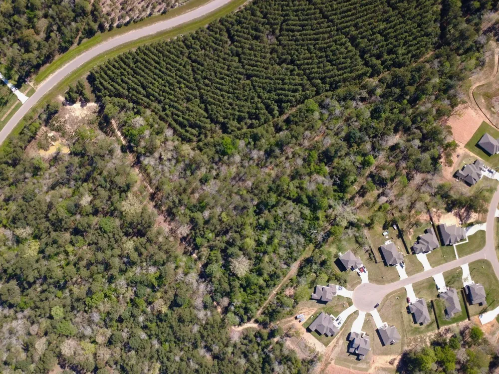 15761 Ridge Rock Road Willis, TX 77378