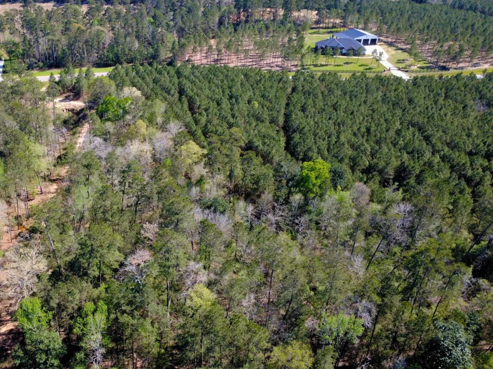 15761 Ridge Rock Road Willis, TX 77378