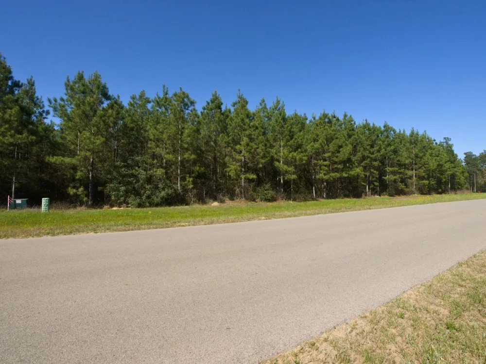 15761 Ridge Rock Road Willis, TX 77378