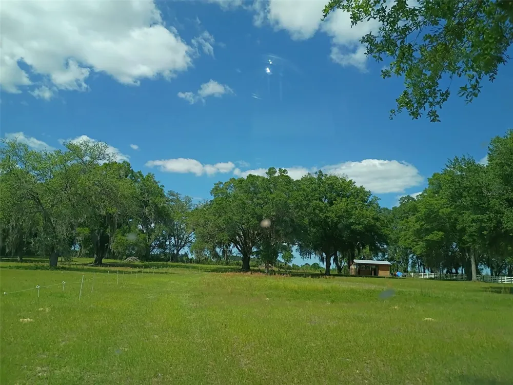 Lot #7 SE 66TH PLACE Morriston, FL 32668
