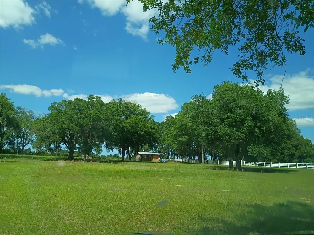 Lot #7 SE 66TH PLACE Morriston, FL 32668