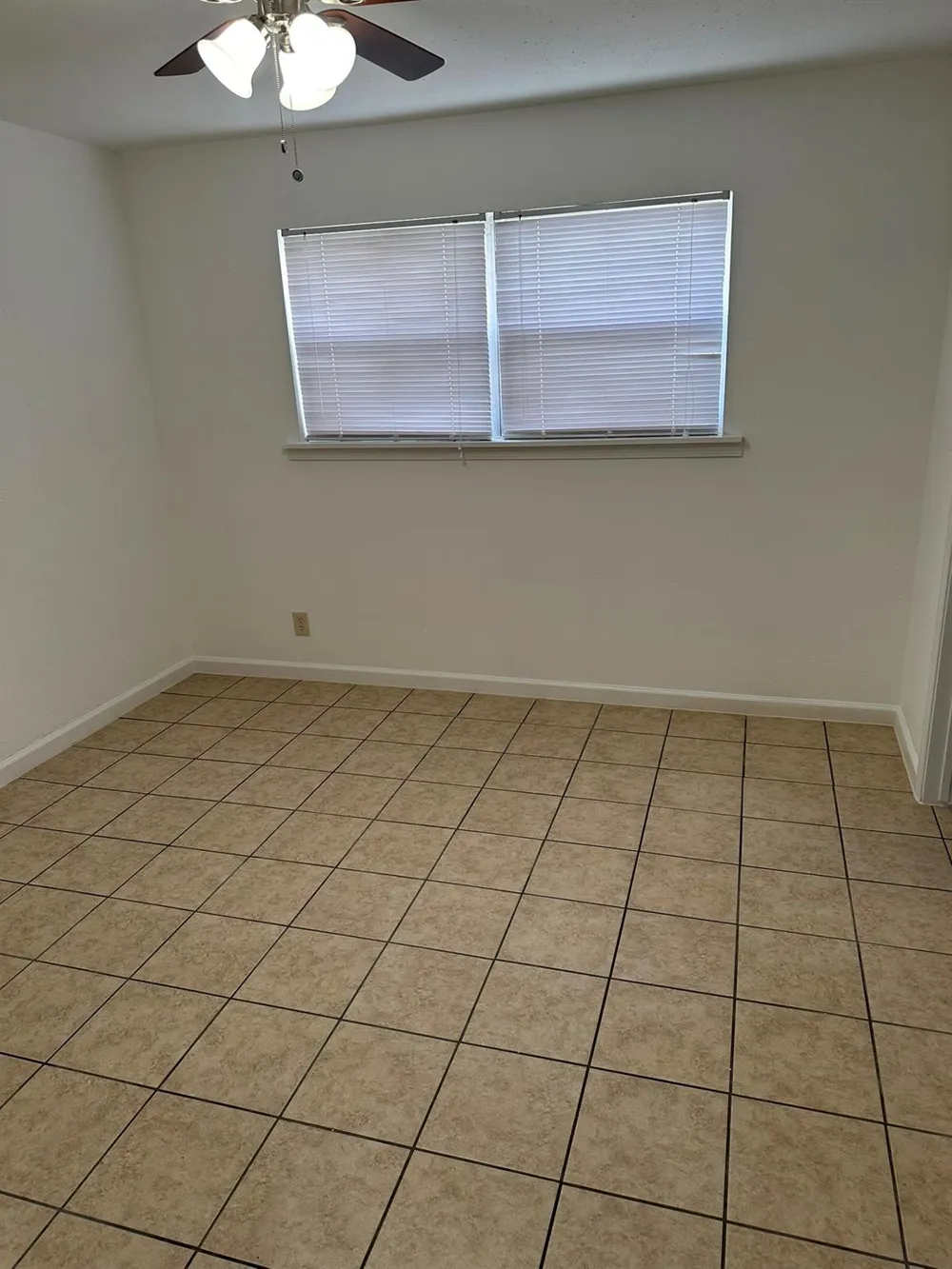 301 Avondale Street #4 Houston, TX 77006