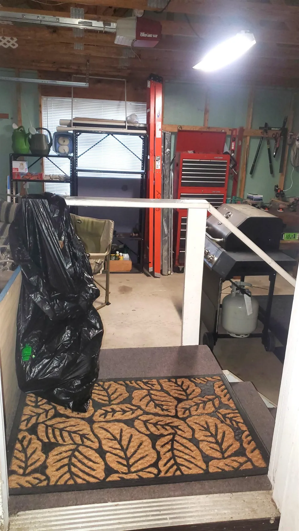 19093 Pike Street Chippewa Township, MI 49342