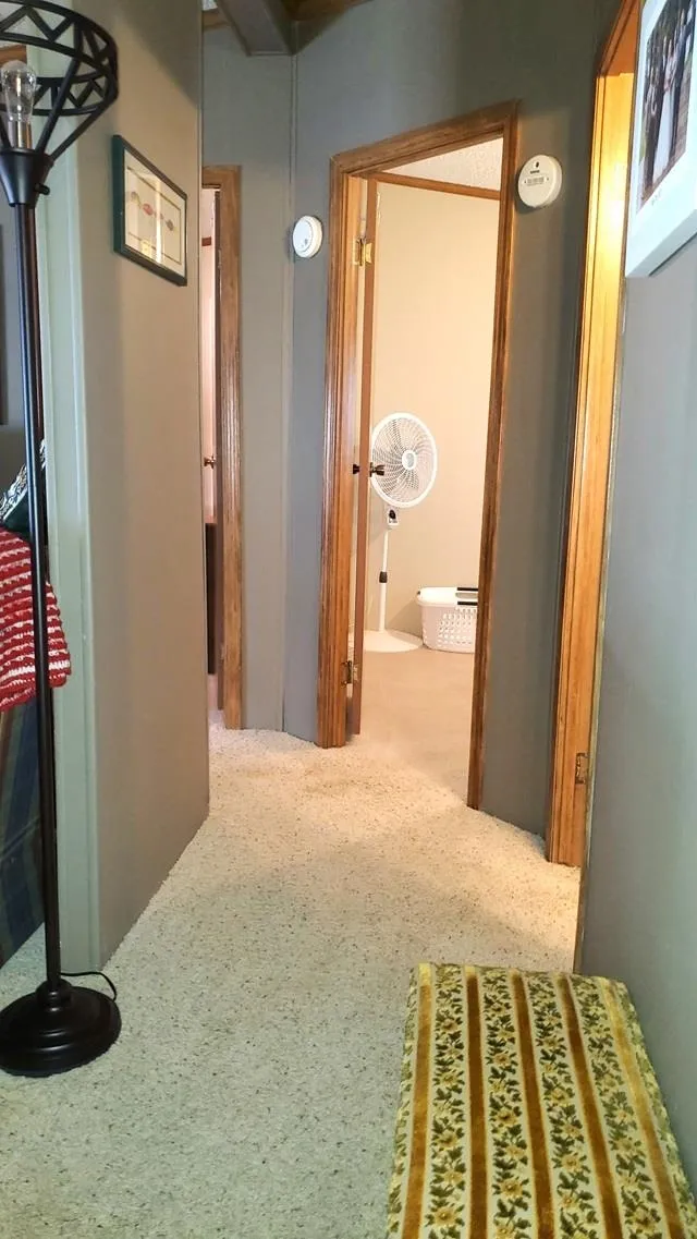 19093 Pike Street Chippewa Township, MI 49342