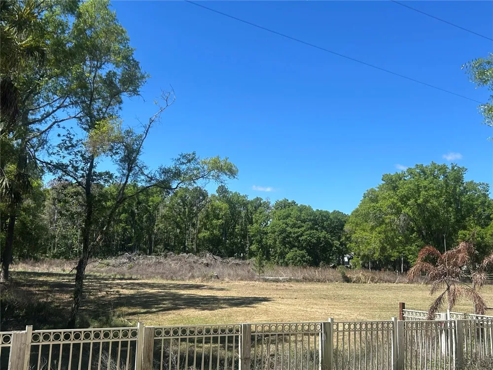 1565 CREEK ROAD Wesley Chapel, FL 33543