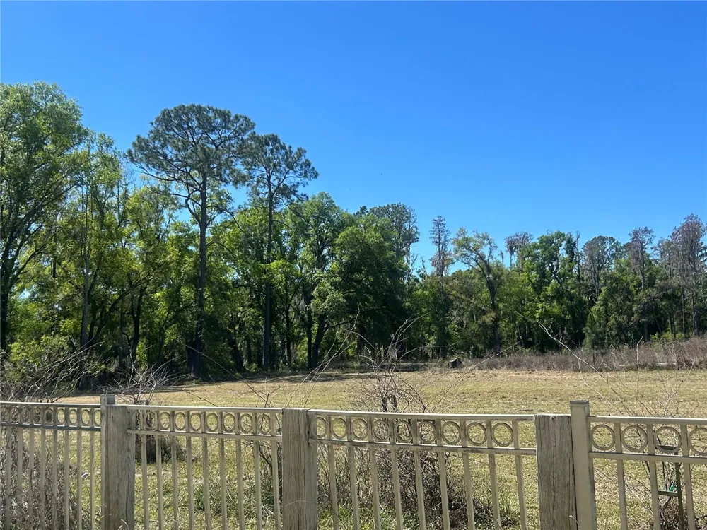 1565 CREEK ROAD Wesley Chapel, FL 33543