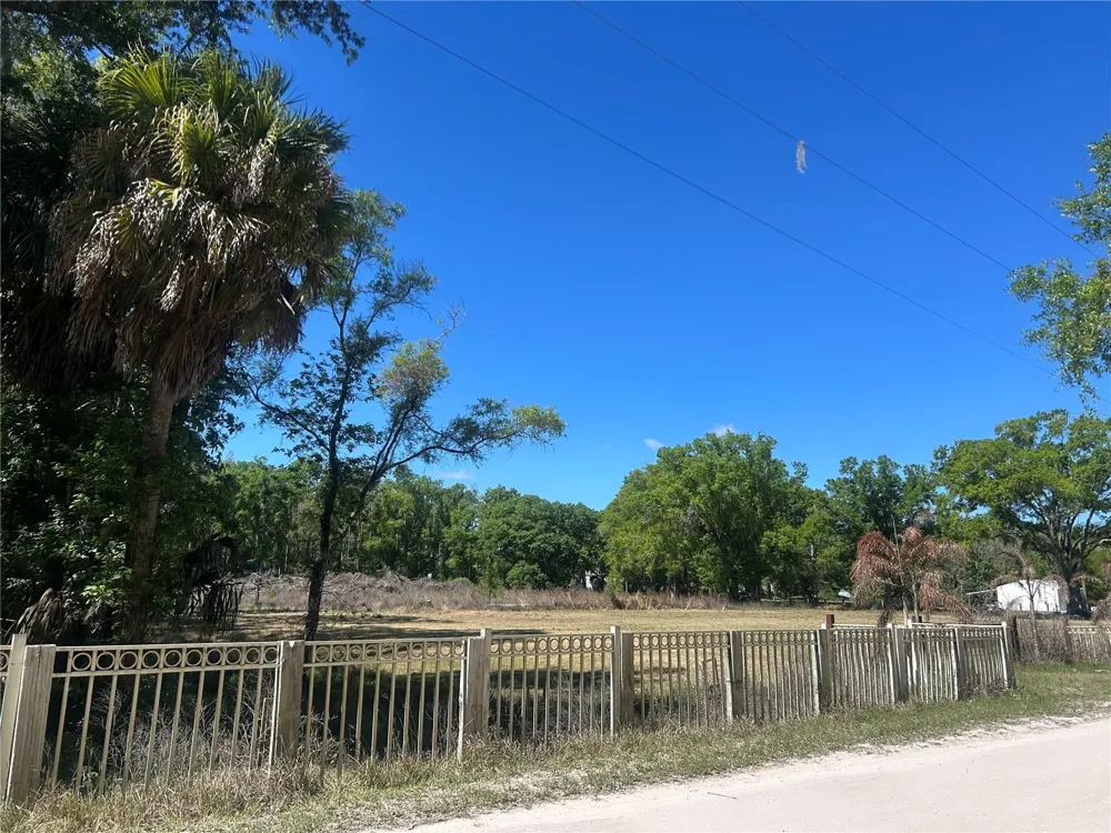 1565 CREEK ROAD Wesley Chapel, FL 33543