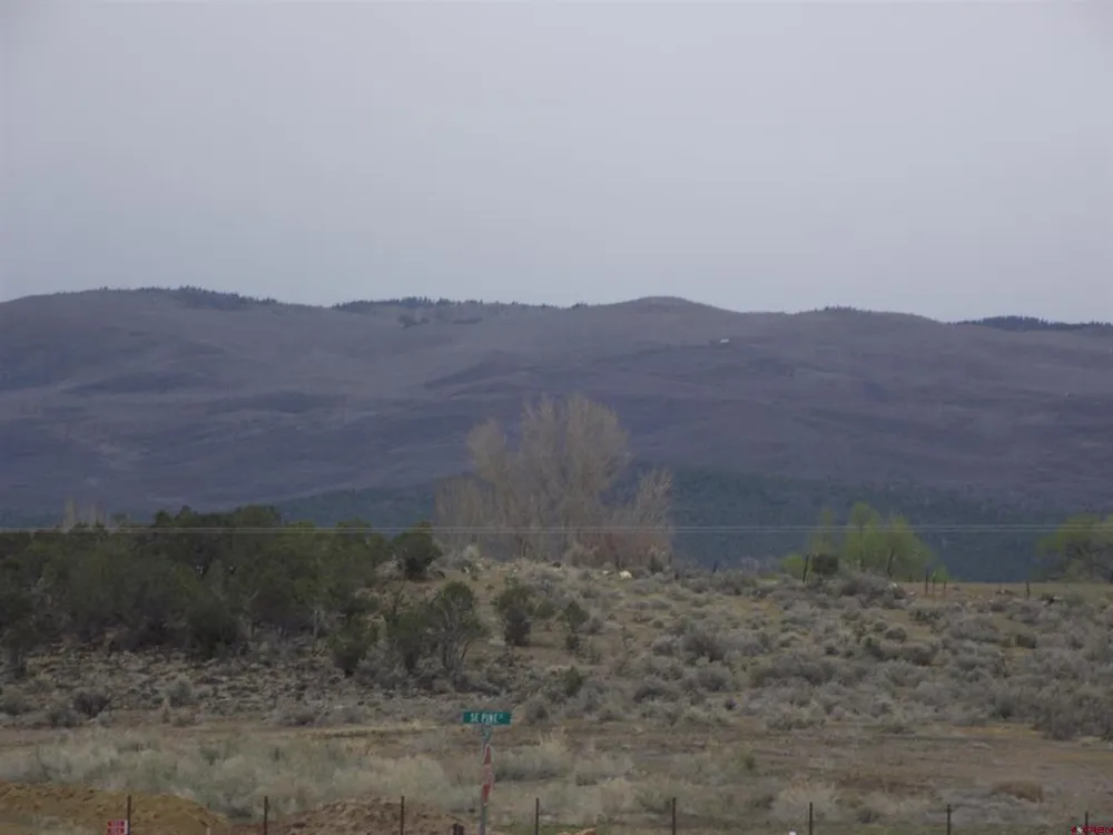 725 SE Pinyon Street Cedaredge, CO 81416