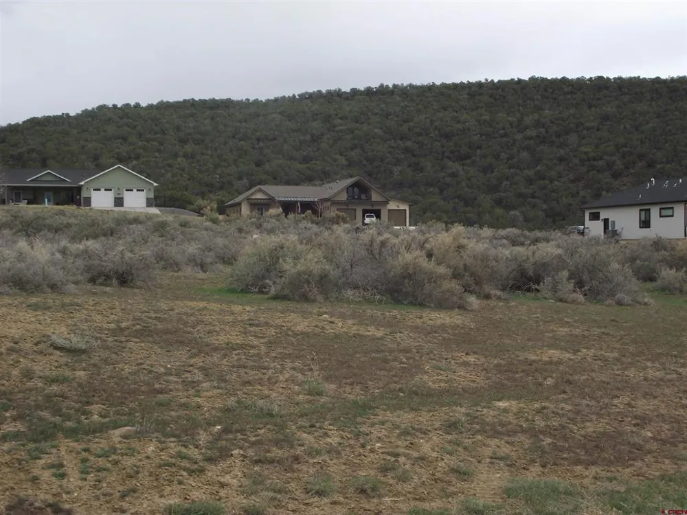 735 SE Pinyon Street Cedaredge, CO 81413