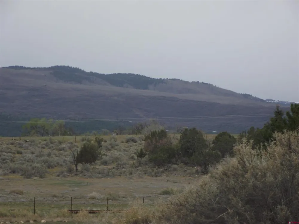 735 SE Pinyon Street Cedaredge, CO 81413