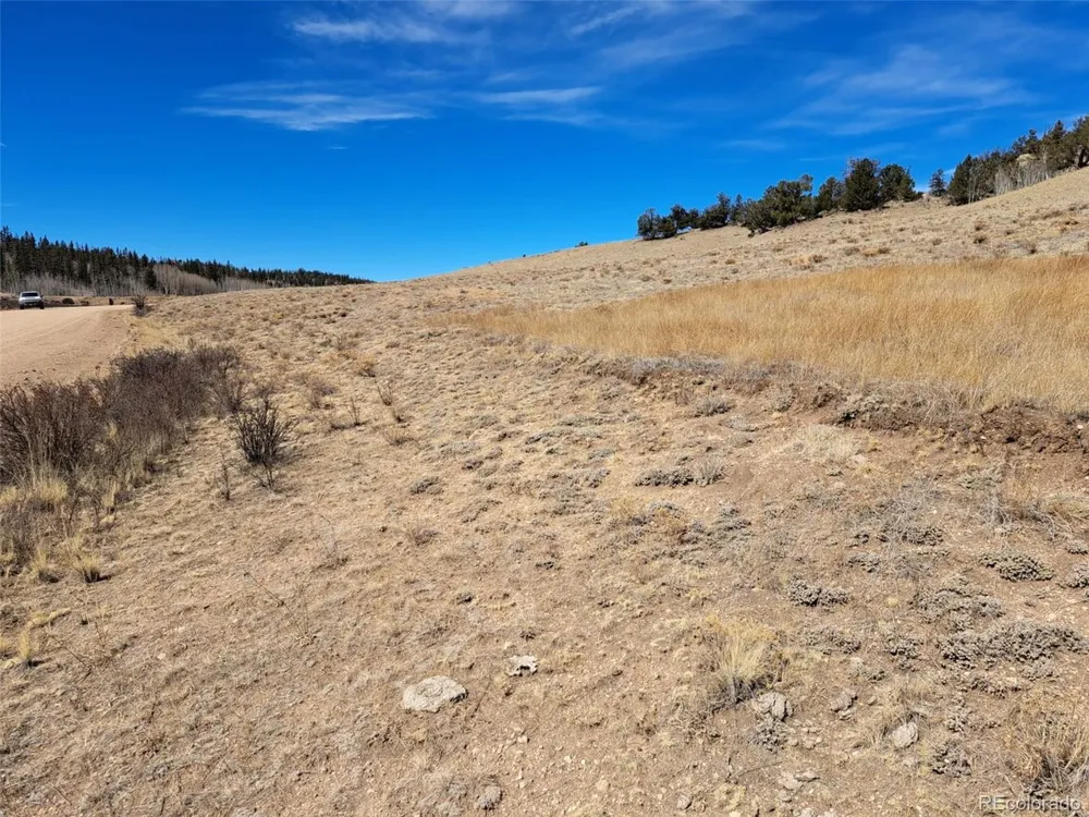 3646 Remington Road Como, CO 80432