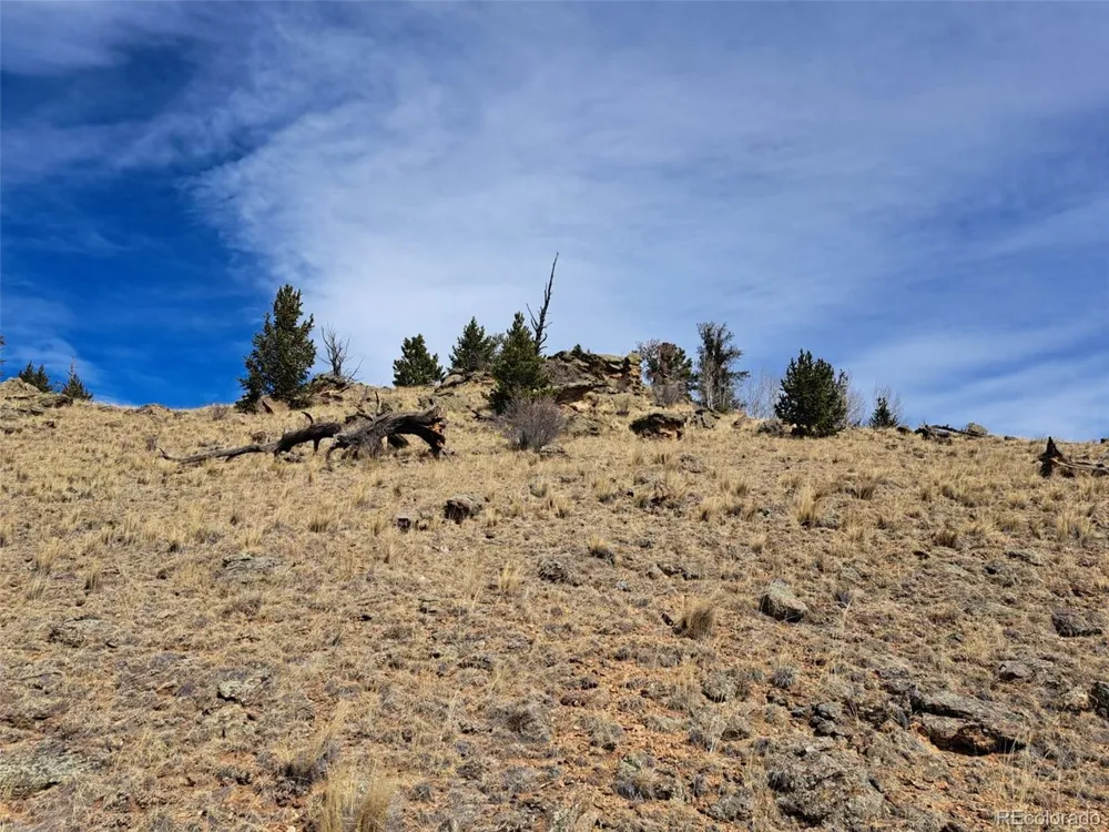 3646 Remington Road Como, CO 80432