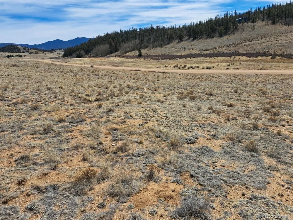 3646 Remington Road Como, CO 80432