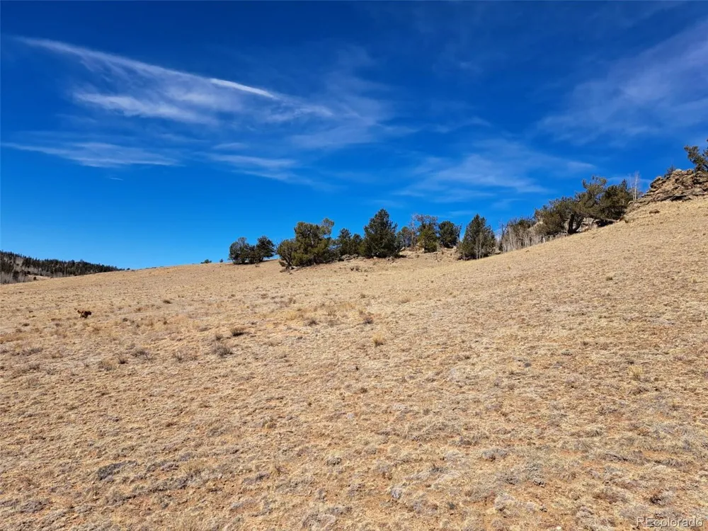 3646 Remington Road Como, CO 80432