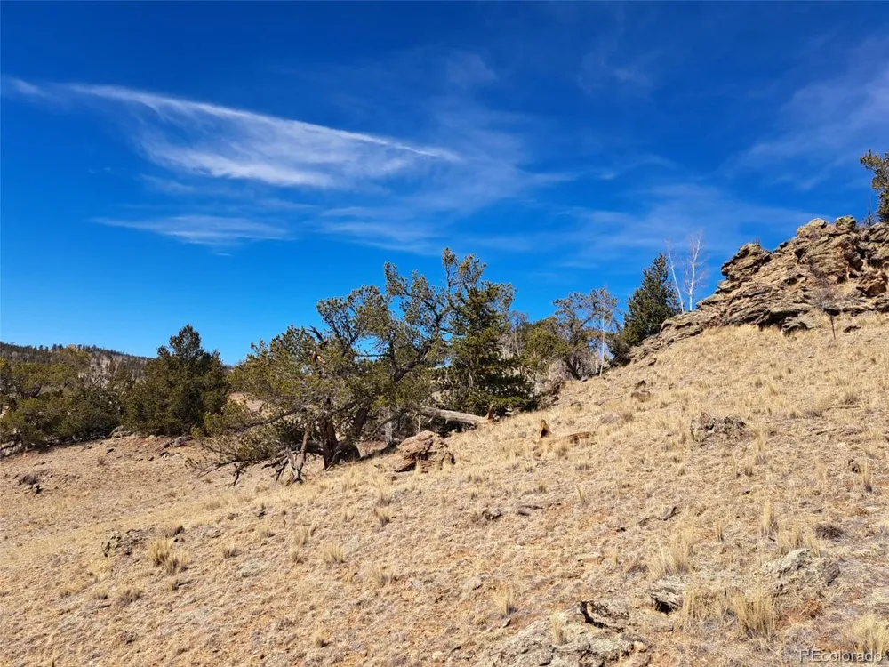 3646 Remington Road Como, CO 80432