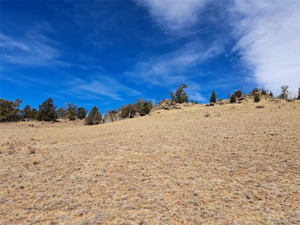 3646 Remington Road Como, CO 80432