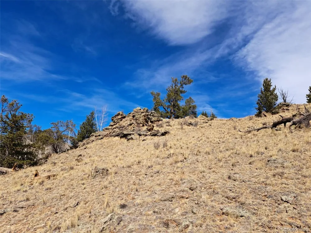 3646 Remington Road Como, CO 80432