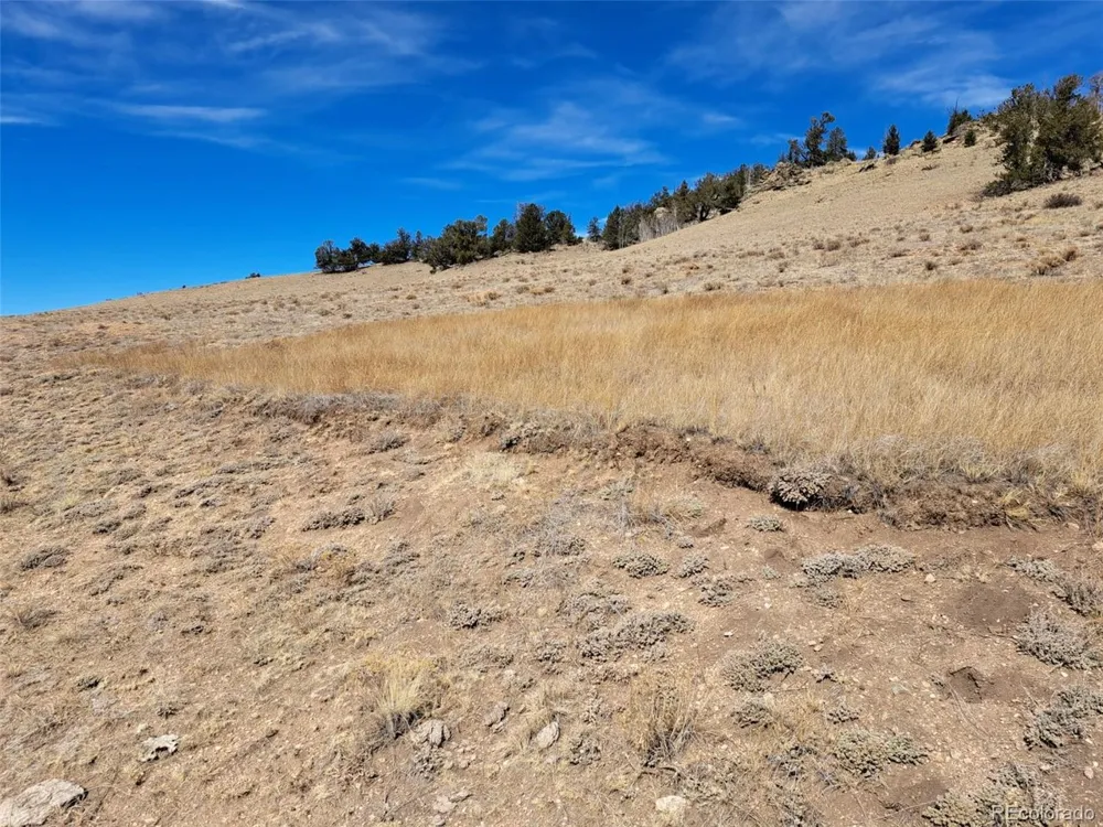 3646 Remington Road Como, CO 80432