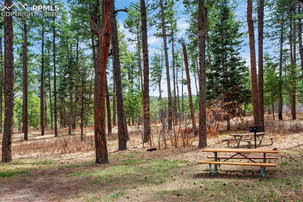 8912 S Pine Drive Beulah, CO 81023