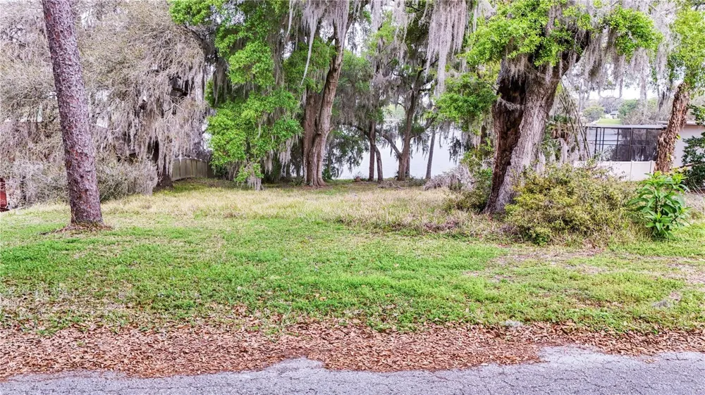 TBD LOT 01000 SILVER DRIVE Umatilla, FL 32784