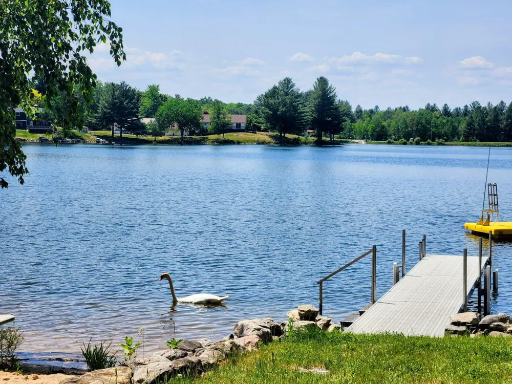 9770 Cheyenne Trail Evart City, MI 49631