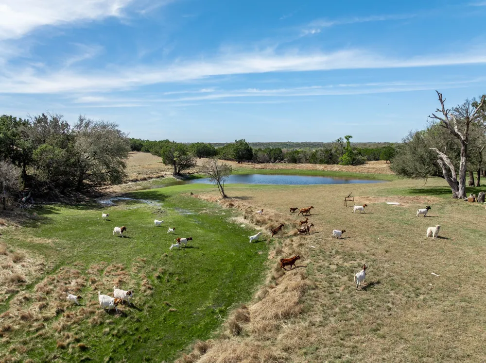 5680 County Road 142 Gatesville, TX 76528