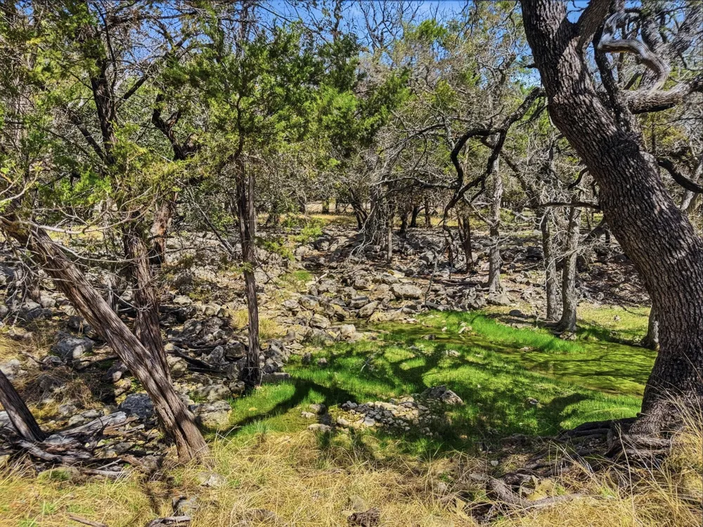 5680 County Road 142 Gatesville, TX 76528