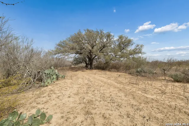 854 county road 7421 Yancey, TX 78886