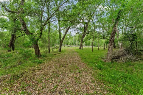 Kings Oak Drive