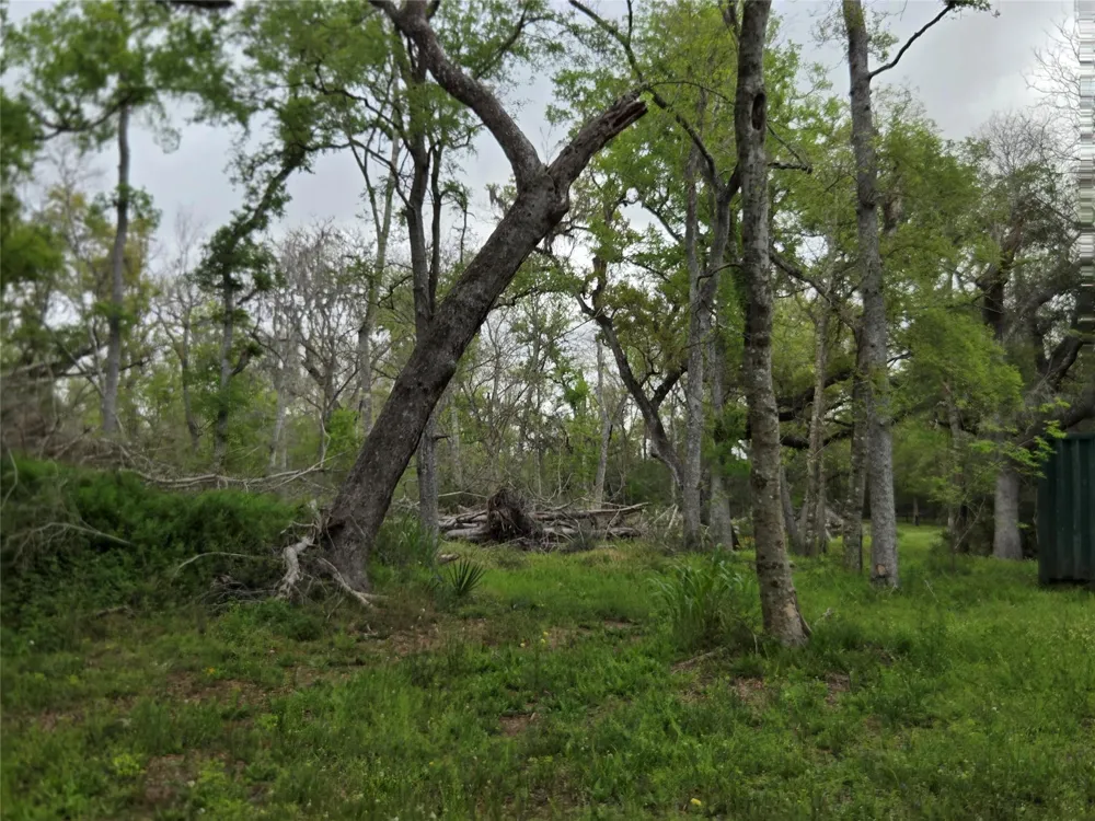 Kings Oak Drive Damon, TX 77430