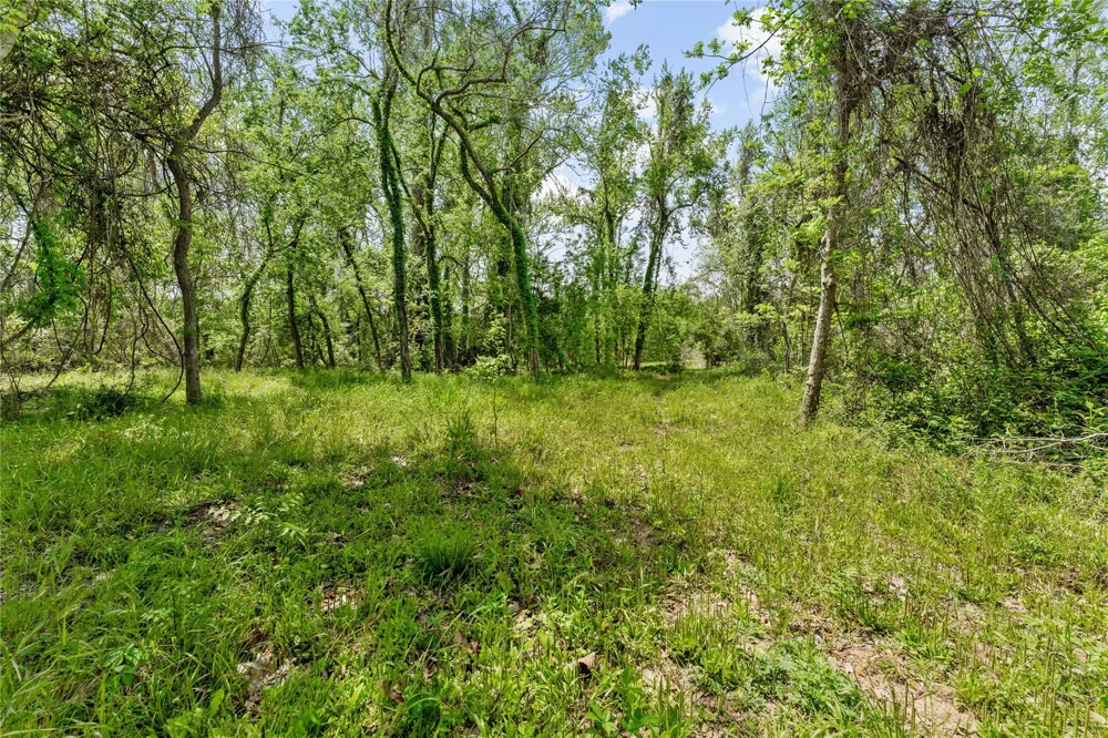 Kings Oak Drive Damon, TX 77430