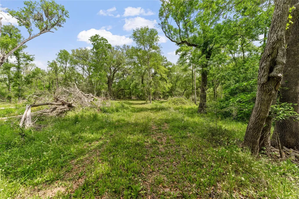 Kings Oak Drive Damon, TX 77430