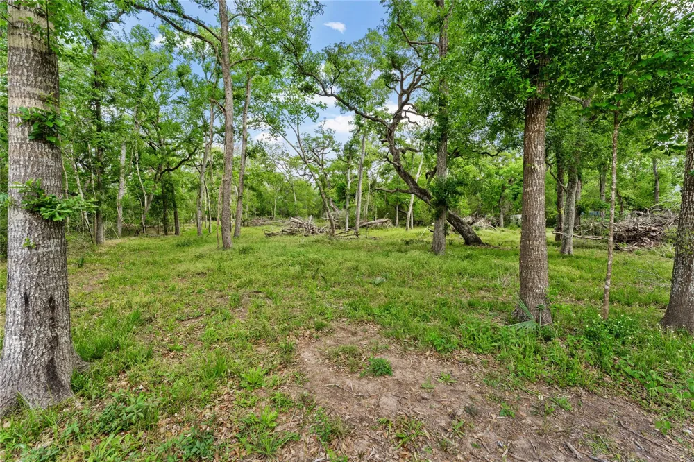 Kings Oak Drive Damon, TX 77430