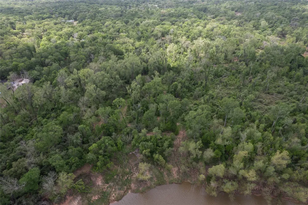 Kings Oak Drive Damon, TX 77430