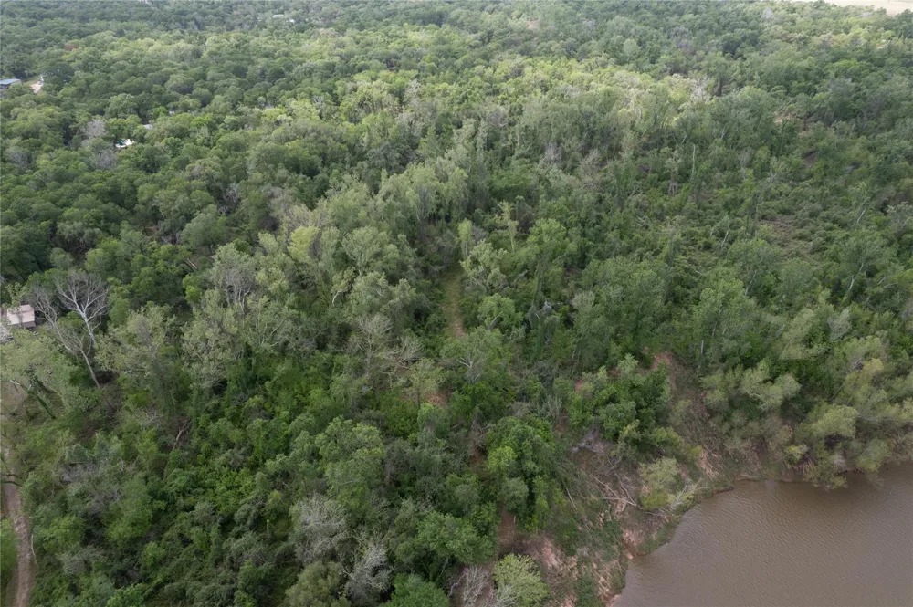 Kings Oak Drive Damon, TX 77430