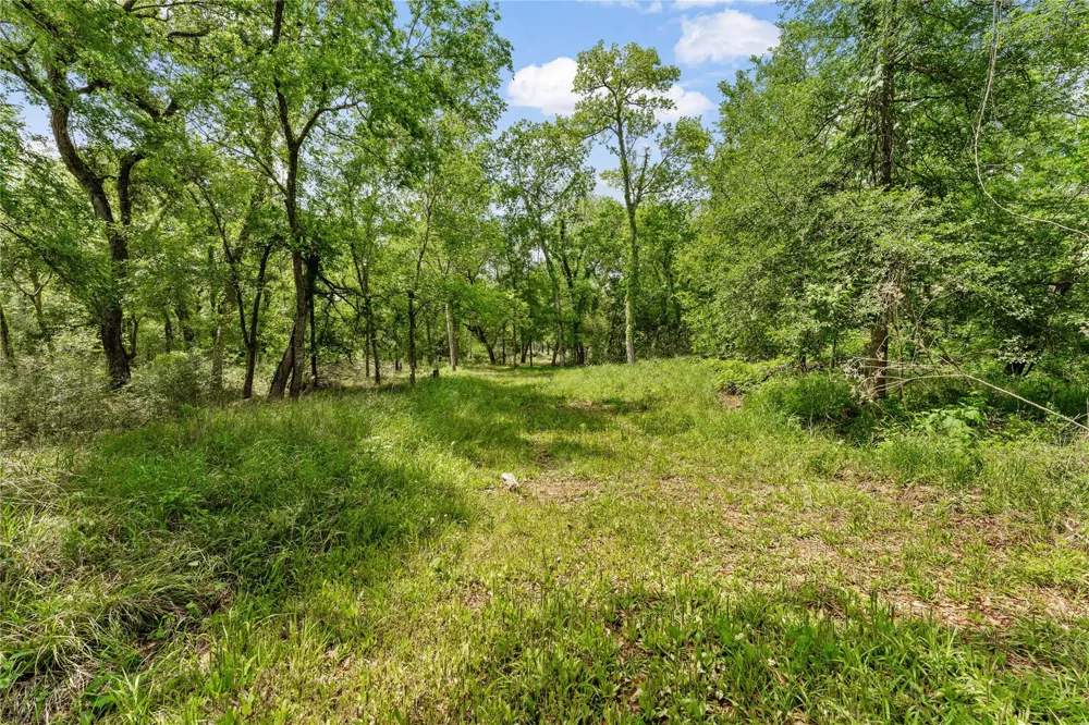 Kings Oak Drive Damon, TX 77430